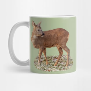 Roe Deer Mug